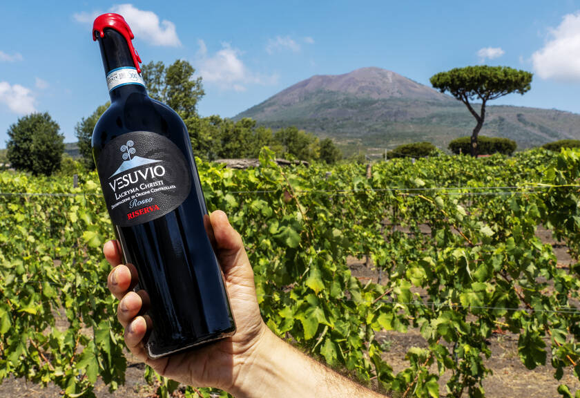 LACRYMA CHRISTI DEL VESUVIO 1995　古酒 Lacryma Christi DOC - Organic wine
