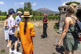 Organic "CLASSIC" Wine Tasting with Lunch on Vesuvius