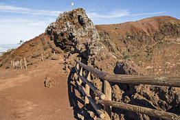 Semi-private tour of Pompeii & Mt. Vesuvius from Naples