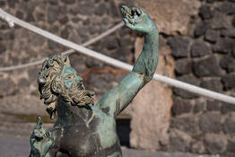 Private Pompeii + Herculaneum Tour Driver + Guide 