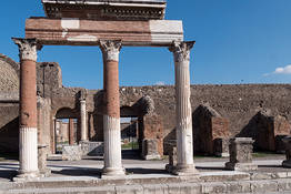 Pompei + Ercolano: tour da Sorrento - Autista + Guida 