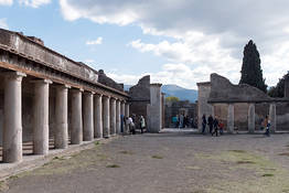 Private Pompeii + Herculaneum Tour Driver + Guide 