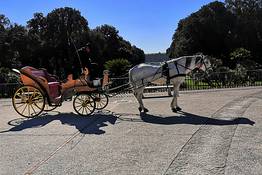 Royal Palace of Caserta Driving Tour from Sorrento