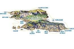 Island Tour + Blue Grotto Visit - Yellow Line
