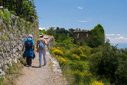 Path of Gods Transfer from Sorrento/Positano