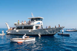 Transfer to Blue Grotto and Back- Blue Line