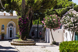 Guided Tour of the Historical Center of Anacapri