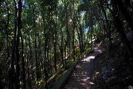 Trekking tour al Pizzolungo